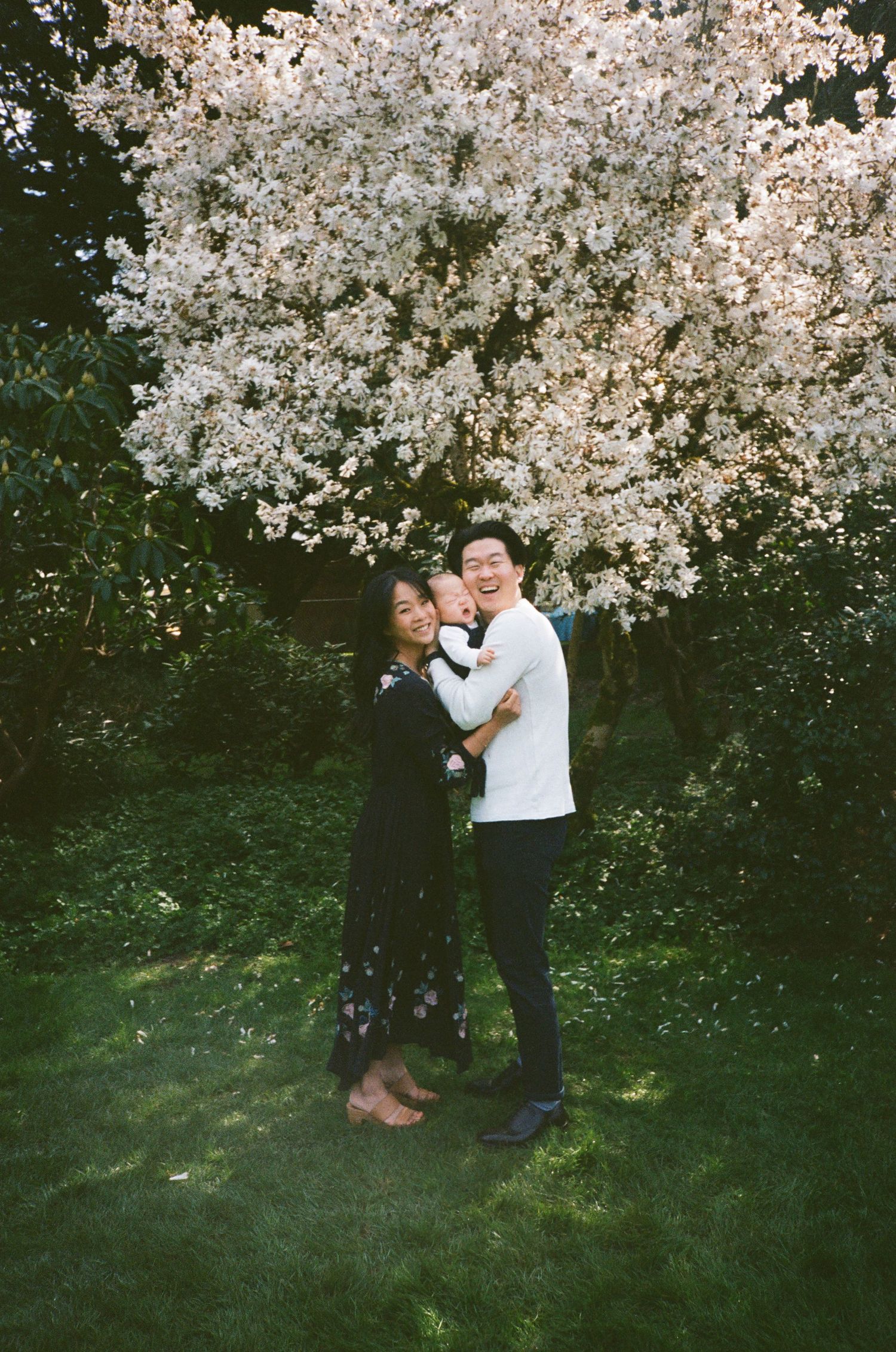 A couple shares a tender moment under blooming cherry blossom trees in a spring garden setting.