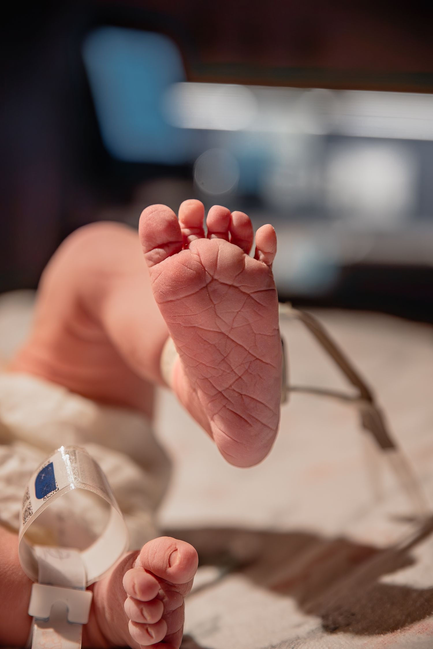 A photographer's photo of a newborn baby's tiny foot just after birth in a Denver, Colorado hospital.