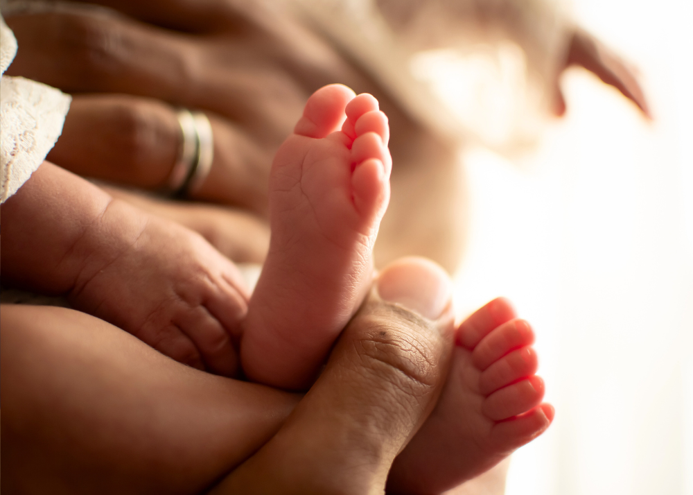 Adult hands gently hold tiny newborn baby feet with pink toenails in warm sunlight during an in-home newborn photoshoot.
