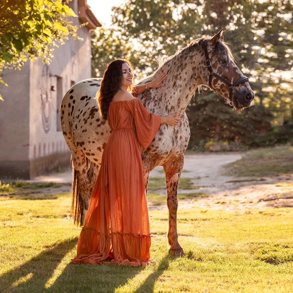 A flowing rust red dress contrasts beautifully with a spotted horse in a sunlit meadow during golden hour photoshoot in sydney