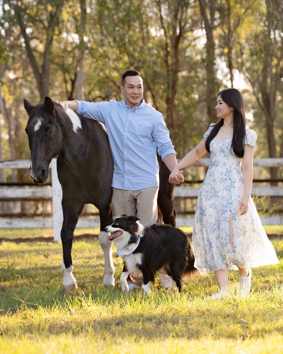 photoshoot with horses, renting a horse for a photoshoot in Sydney