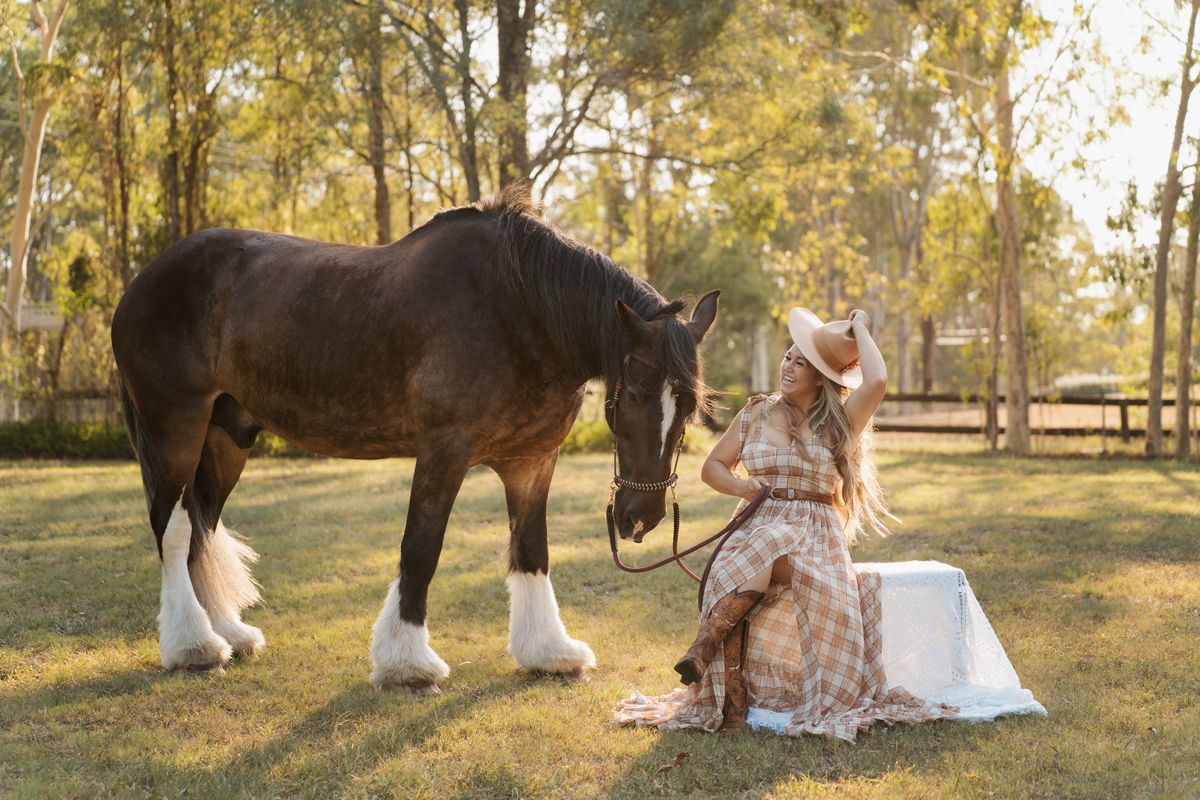 in Sydney photoshoot A romantic outdoor photoshoot in a sunlit field with a horse and couple in formal attire.