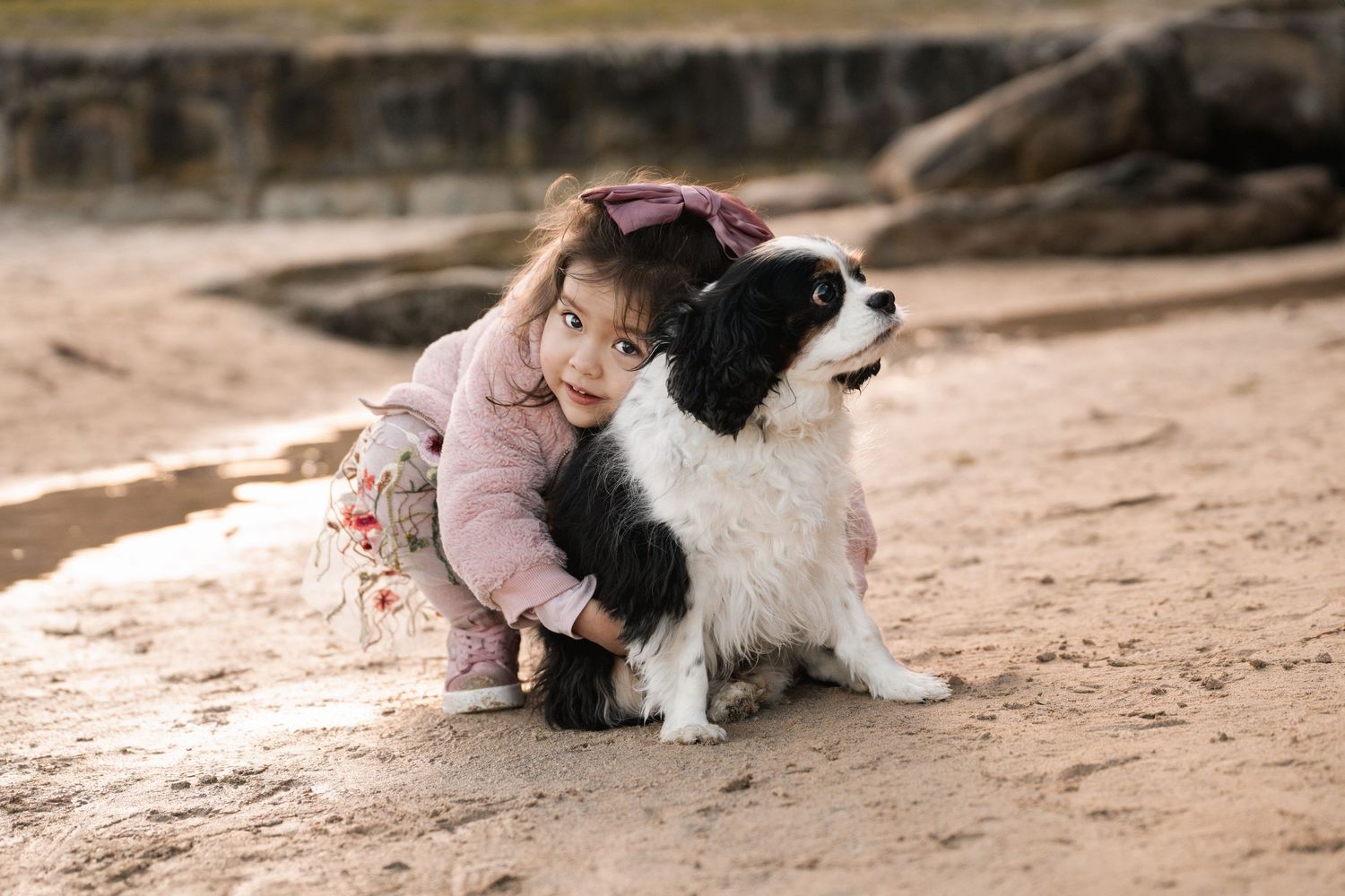 Little girl hugs her little dog during a family photoshoot in the northern beaches in Sydney Clifton gardens