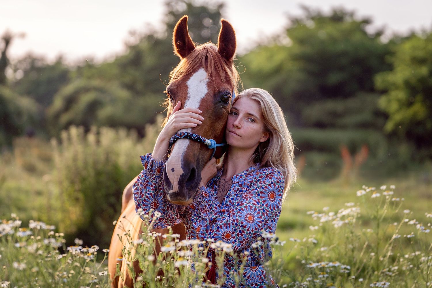 girl and her horse in a wildflower meadow at sunset, surrounded by blooming daisies and tall grass. Photoshoot with a horse in Sydney Cattai