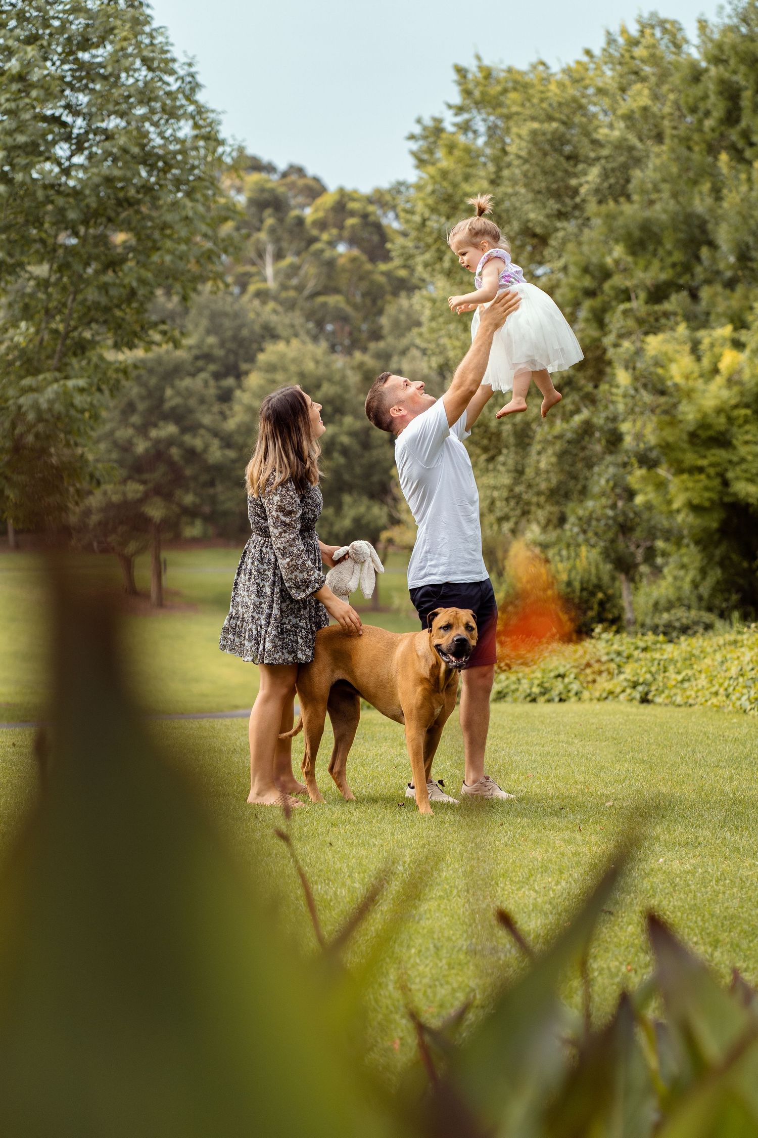 A family and their large brown dog enjoy a sunny afternoon together in a lush green Fagan park in Dural Sydney during a family photoshoot