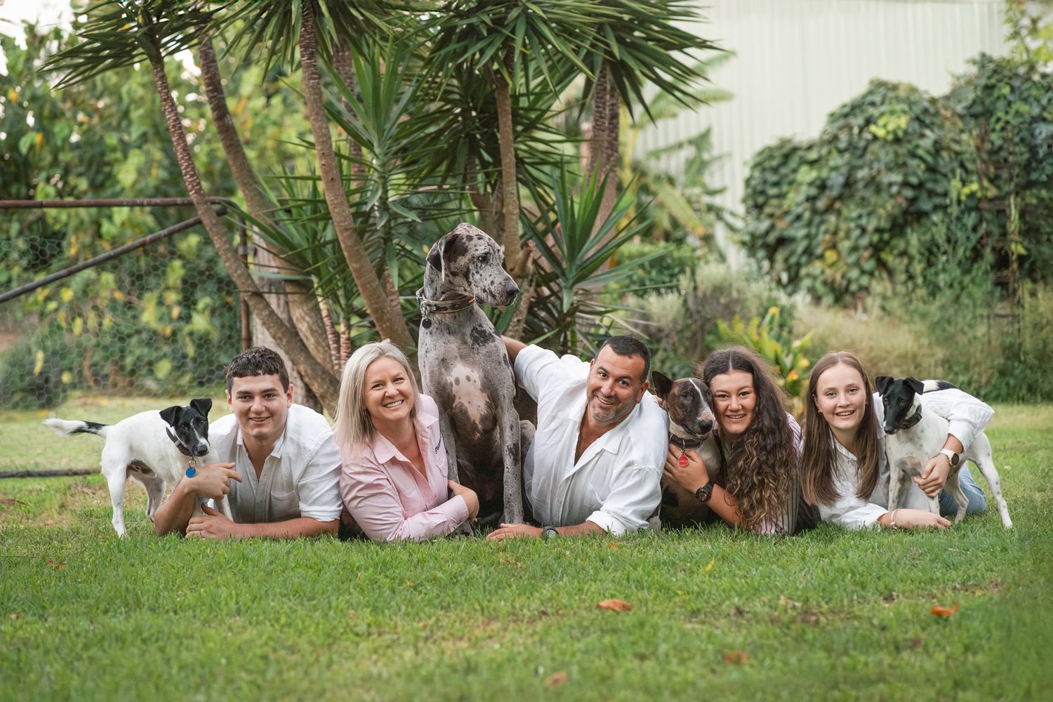a family is laying on the grass with their 4 dogs during a family photoshoot in their private property in Cattai