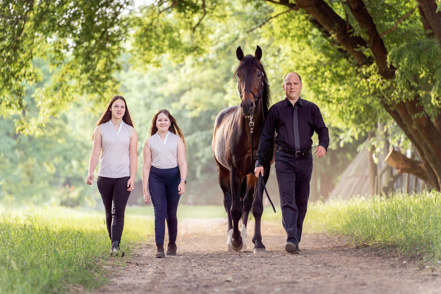 A brown horse walks along a tree-lined path with people on a sunny summer day.