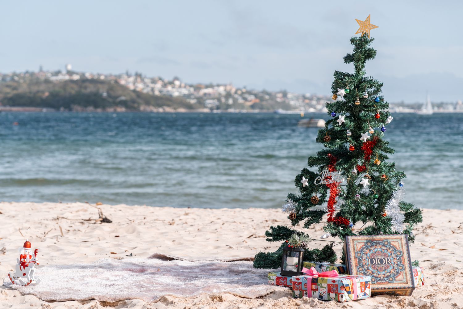 christmas photoshoot in Sydney on the northern beaches