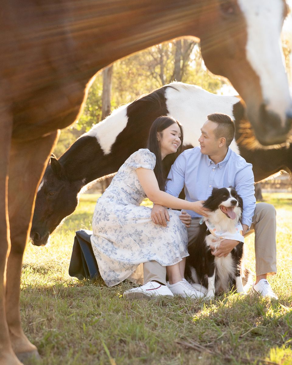 A couple cuddling their border collie while sitting on a stool and a horse is behind them and in front of them during a photoshoot in Sydney