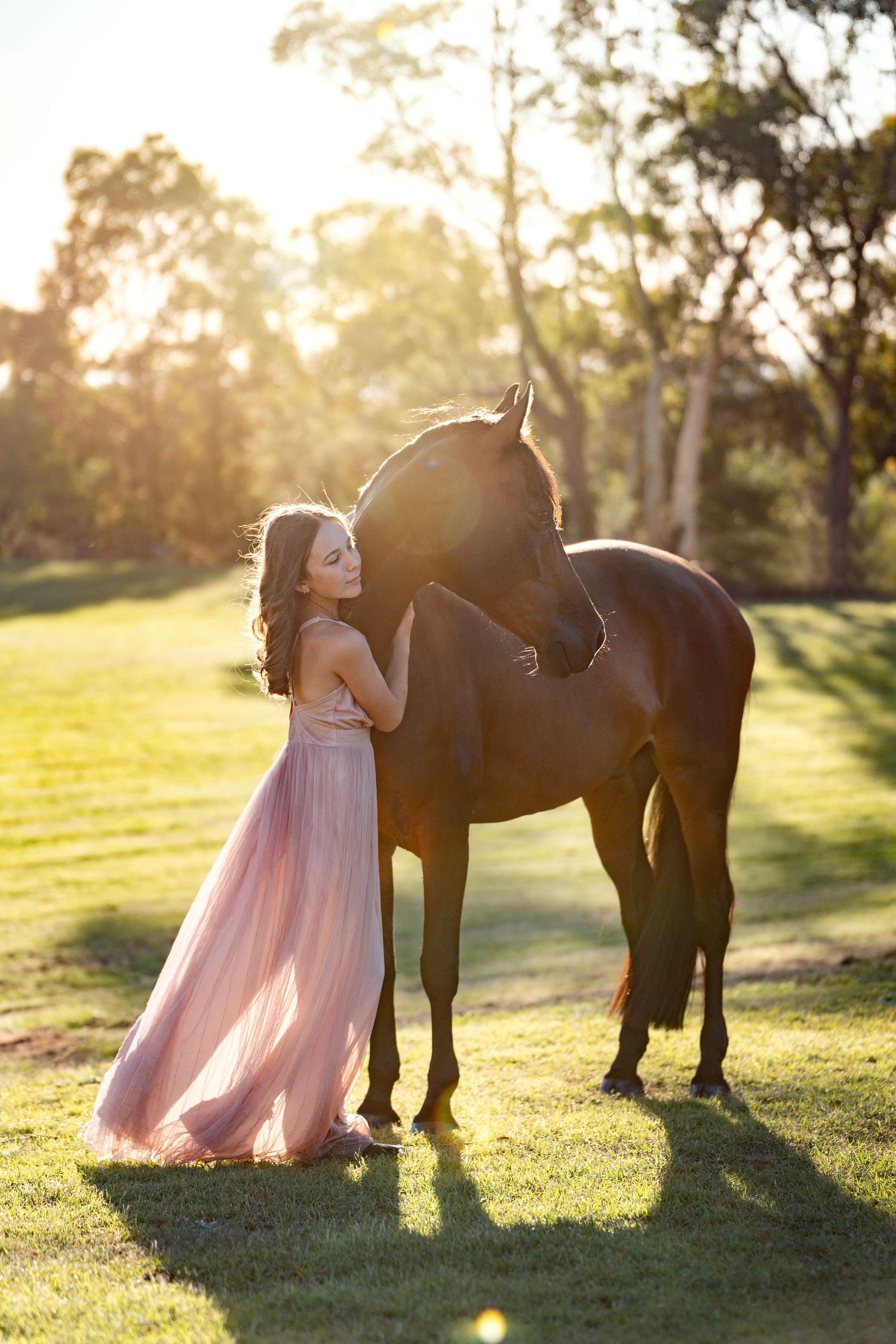 A majestic brown horse stands in a sunlit field with a girl in a flowing pink dress during golden hour horse photoshoot in Glenorie