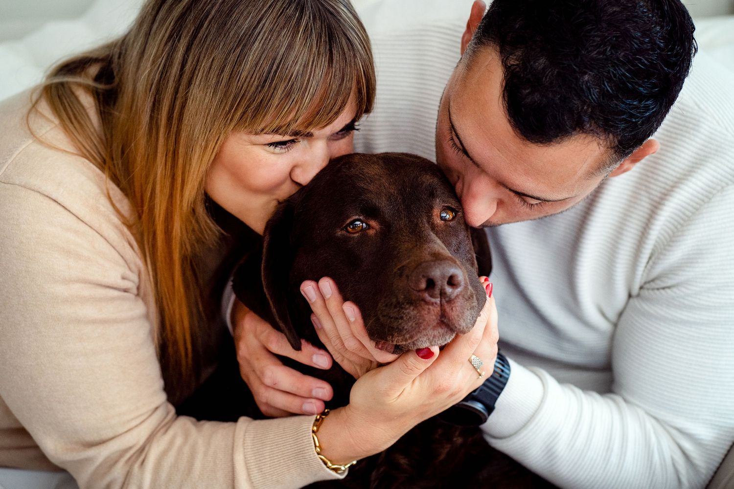A lovely moment between a couple and their pet labrador in a light-filled setting during an in home photoshoot with their dog in Sydney