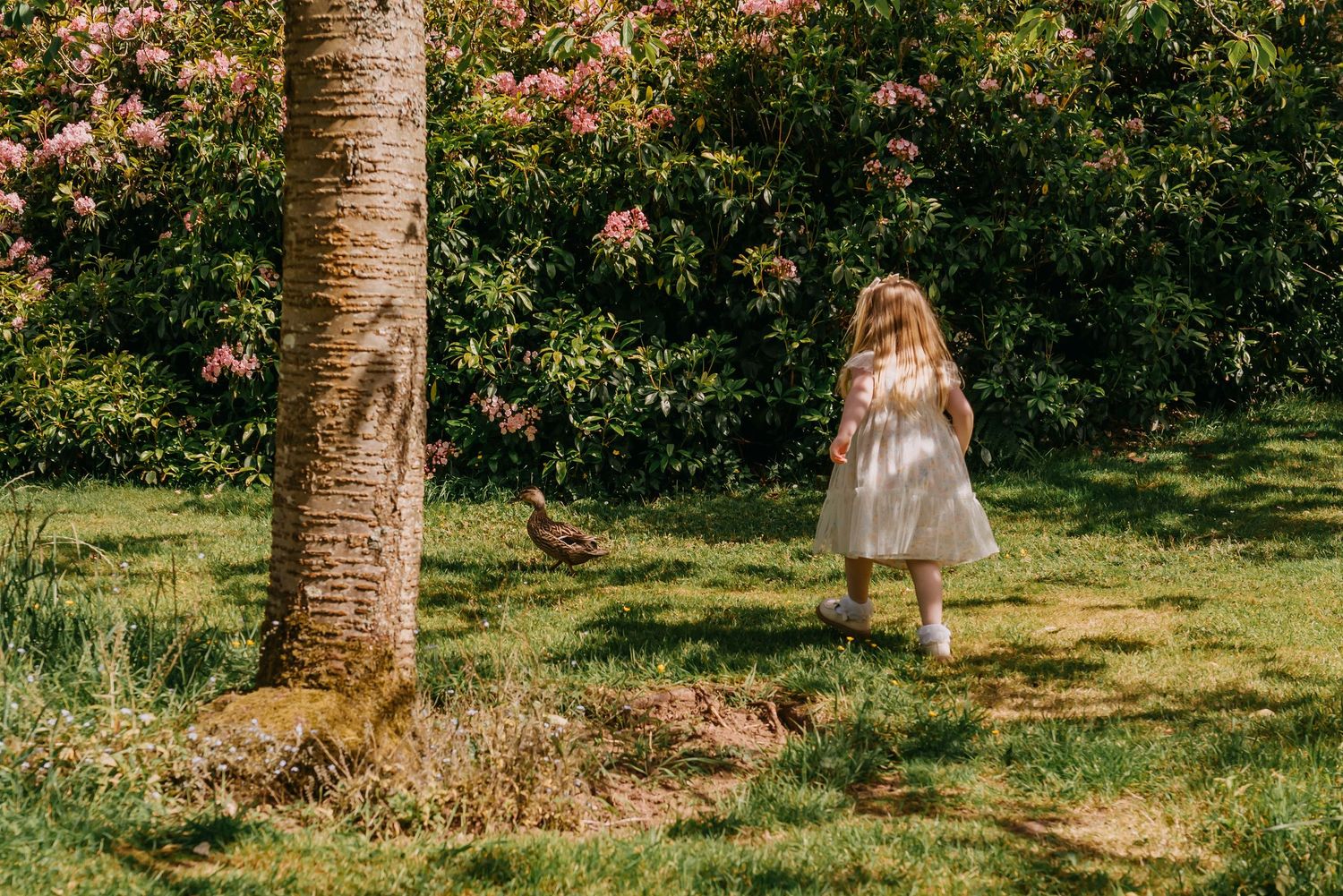 the art of childhood outdoor family photoshoot