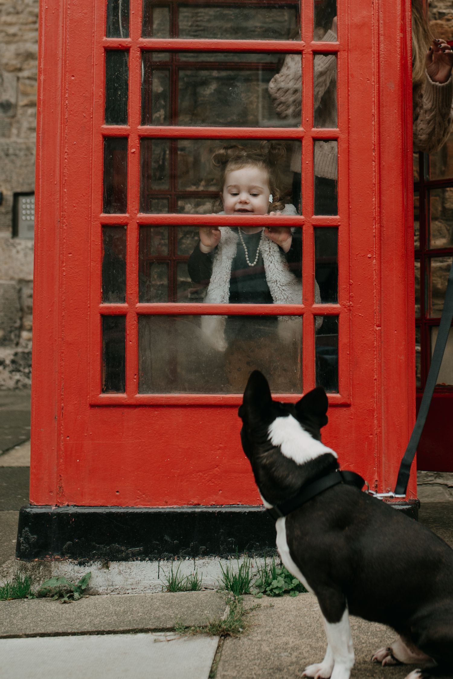 Edinburgh family photoshoot, little girl standing in a telephone booth looking out at her dog that joined in the family photoshoot