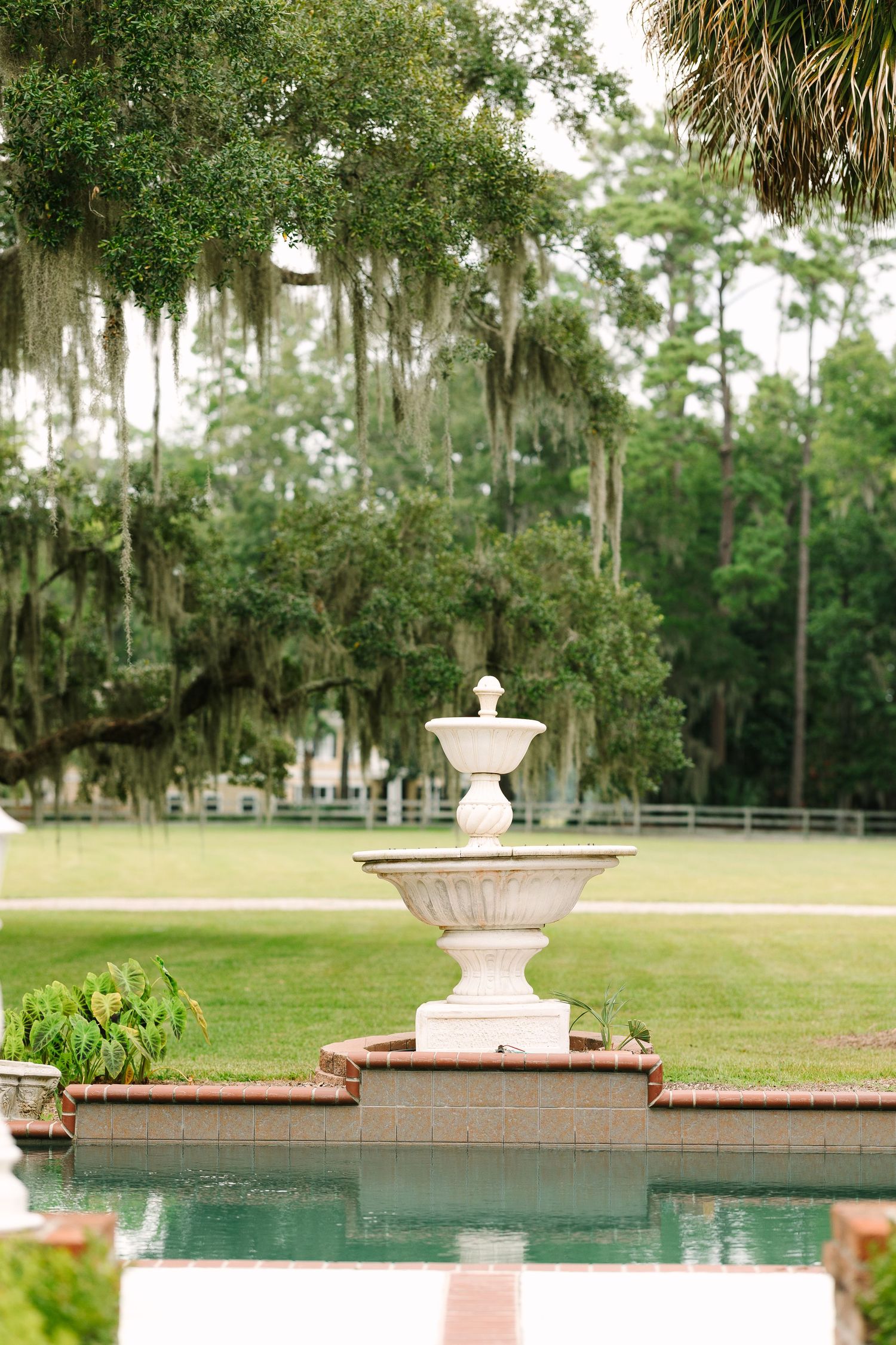 A classic white fountain sits in a southern garden with Spanish moss hanging from trees.