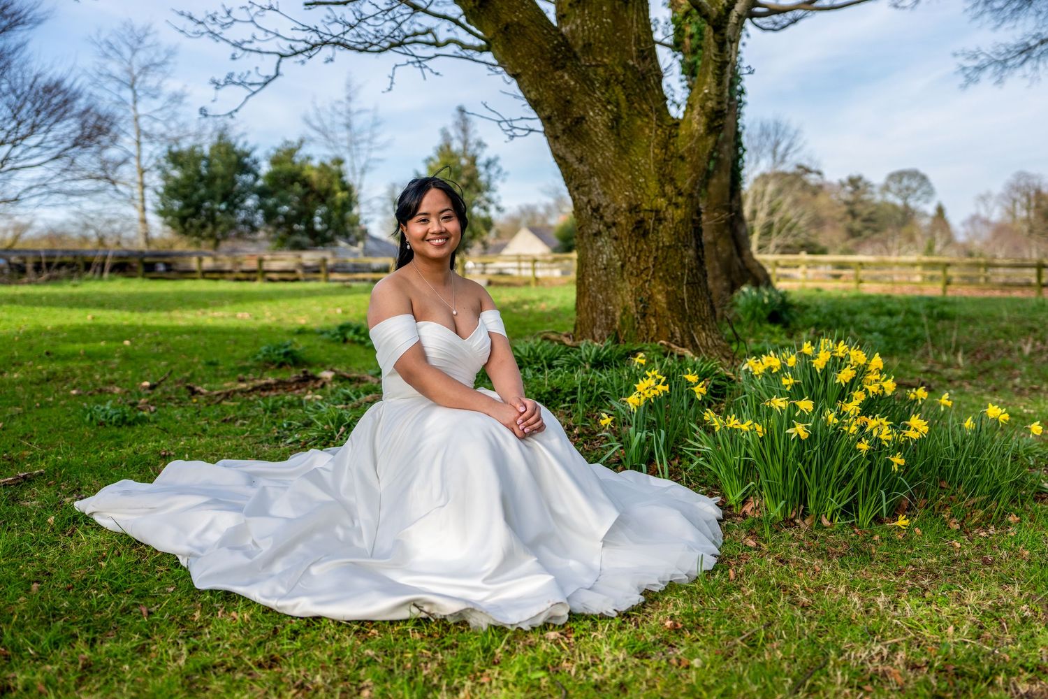 Bride in off-shoulder white ballgown sits gracefully on grass beneath tree with spring daffodils. Dave Martin Photographer Northern Ireland