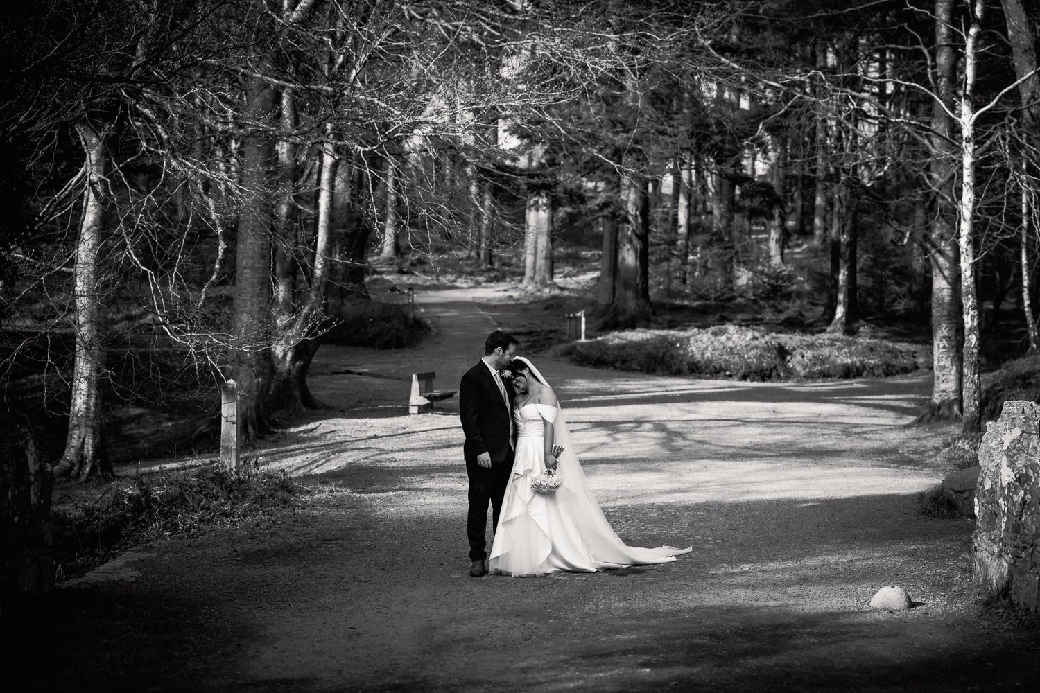 Black and white photo of bride and groom sharing a romantic moment on a tree-lined path. Dave Martin wedding Photographer NI