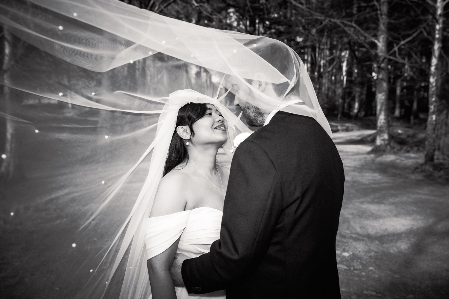 Black and white wedding photo of bride and groom under flowing veil in forest setting. Dave Martin wedding Photographer NI