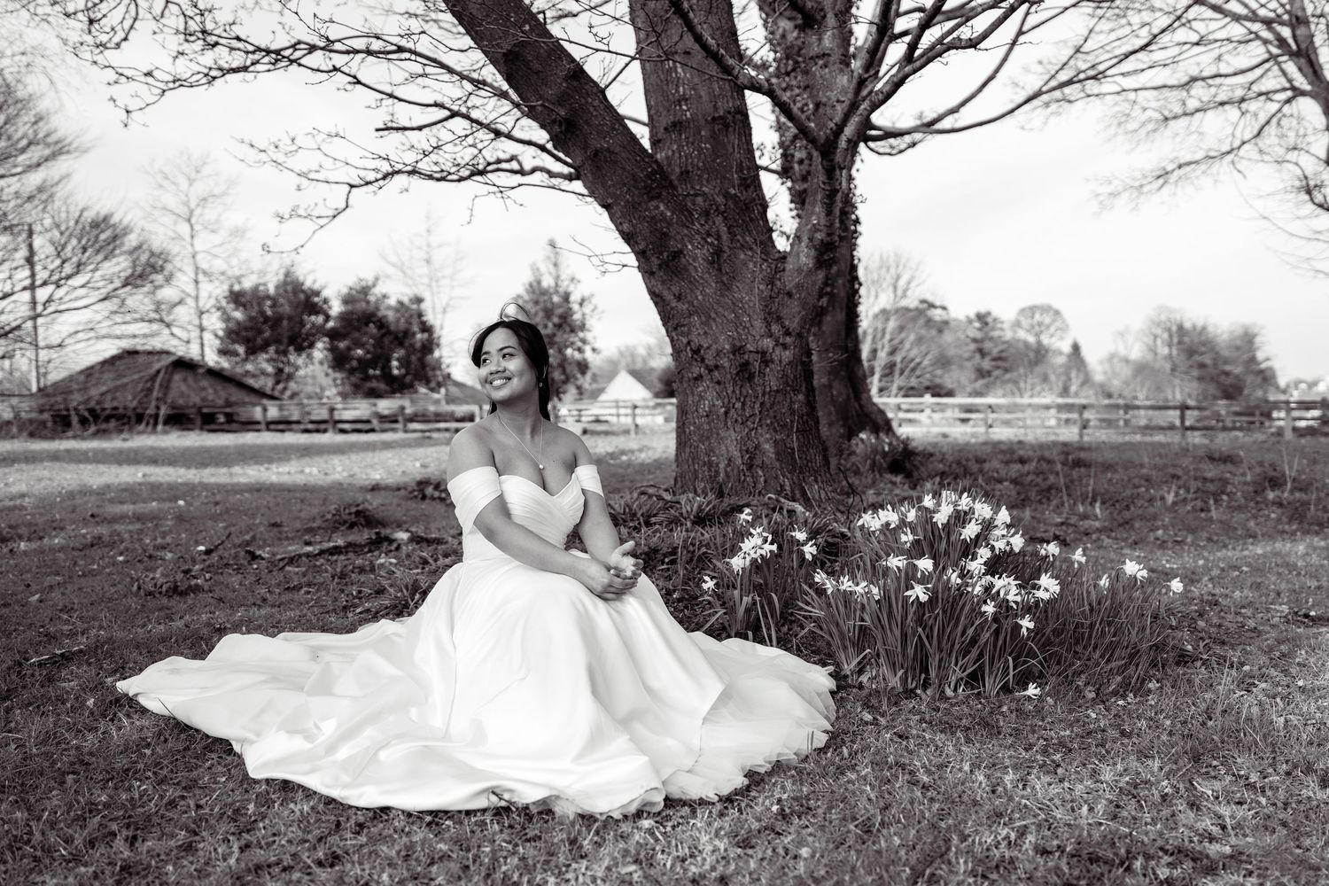 Bride in white gown sits under a tree beside daffodils in a black and white wedding photo. Dave Martin Weddings Northern ireland