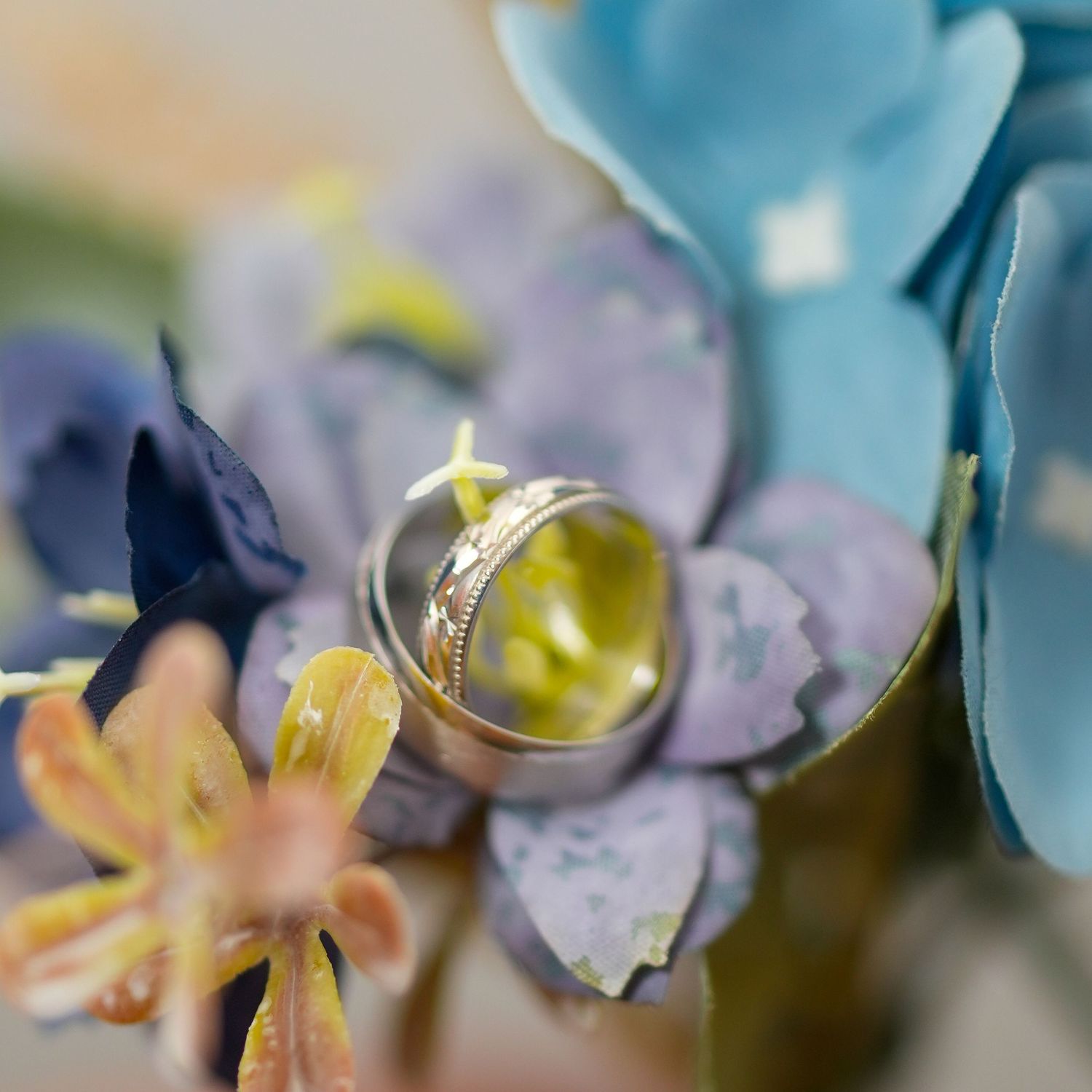 Silver wedding rings with a yellow gemstone resting on blue and purple hydrangea flowers. Dave Martin Photography Weddings Northern Ireland.