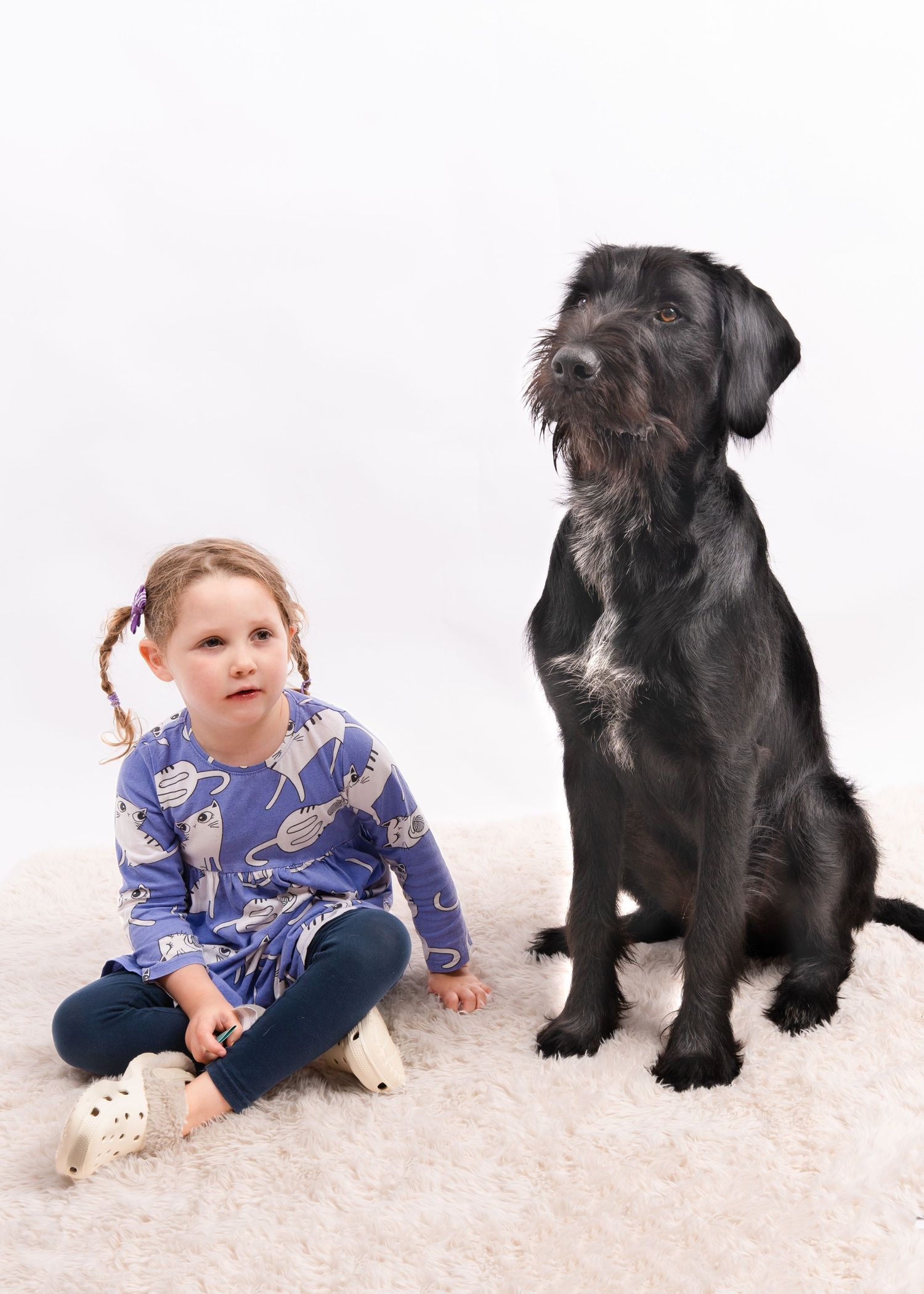 Young girl with braids sitting beside large black dog on white carpet. Dave Martin Photography Studio Belfast