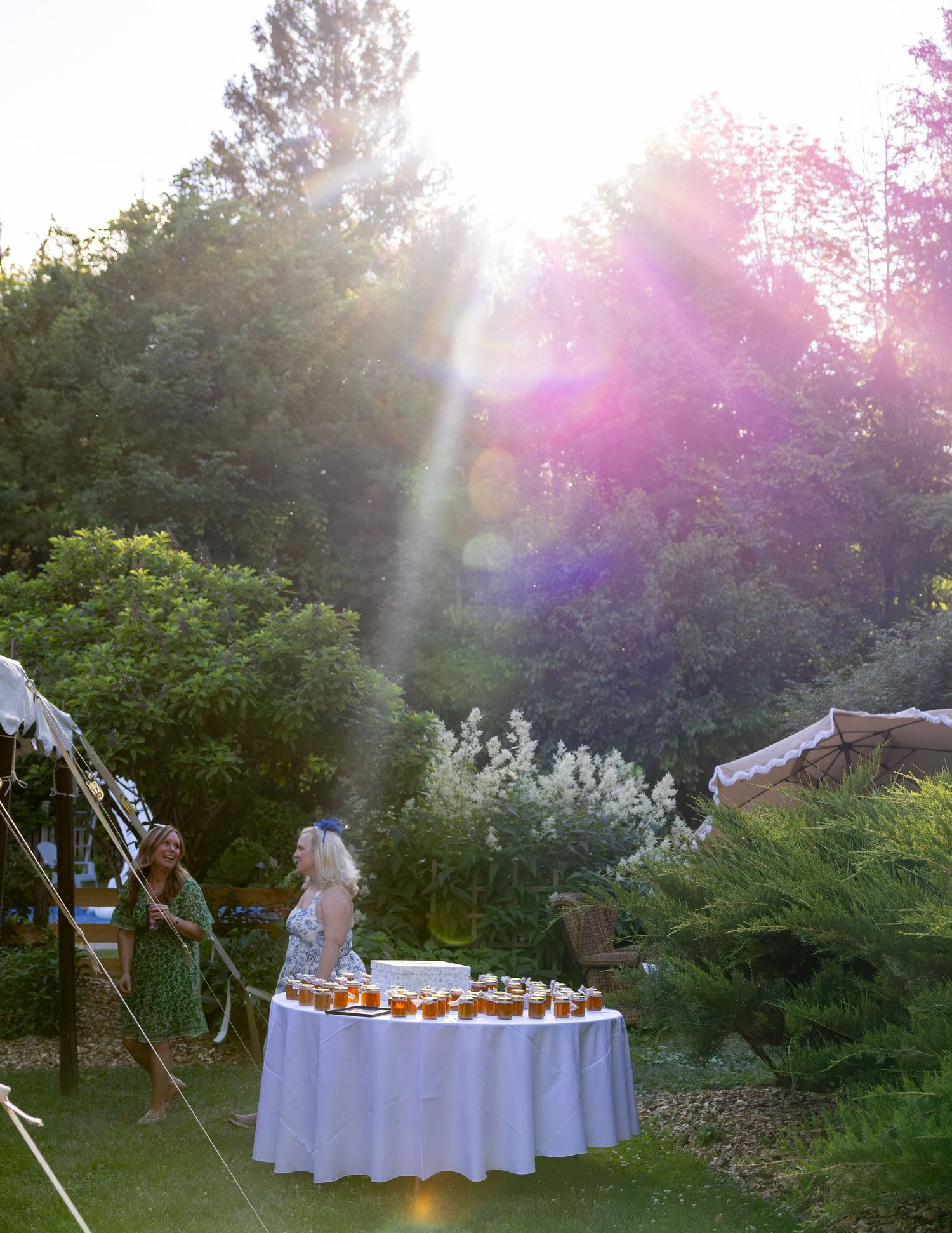 Golden sunlight streaming over an outdoor wedding dessert table surrounded by lush greenery.