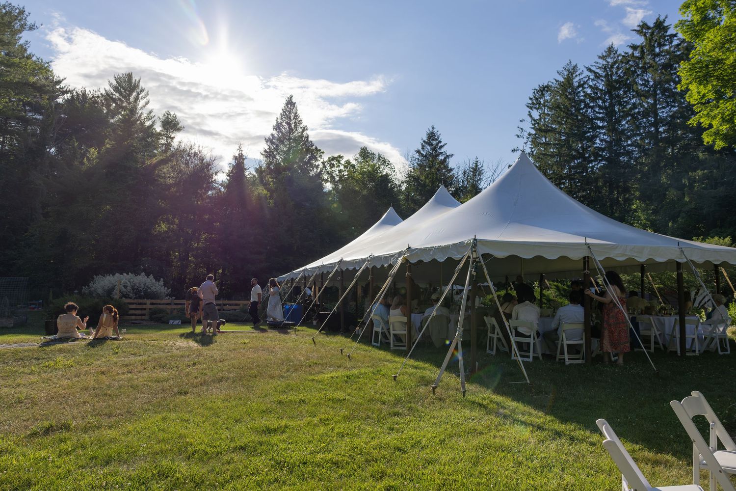Outdoor summer event with white pole tent on green lawn surrounded by tall pine trees in bright sunlight.