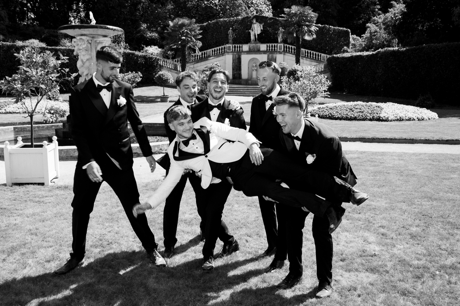Black and white photo of groomsmen playfully lifting groom in formal tuxedos in garden.