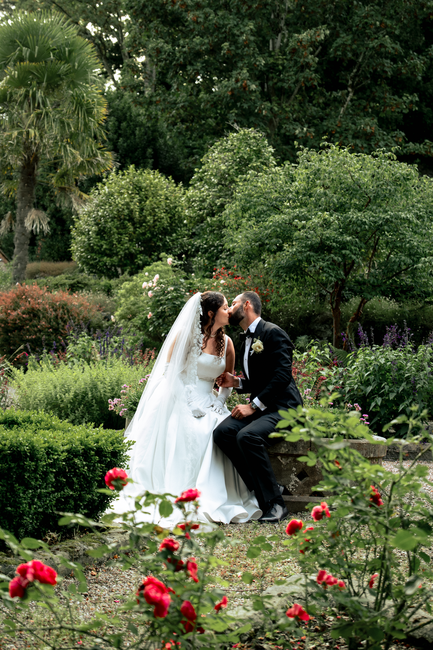 Bride and groom share a romantic kiss in a lush garden surrounded by red roses and greenery on their wedding day.