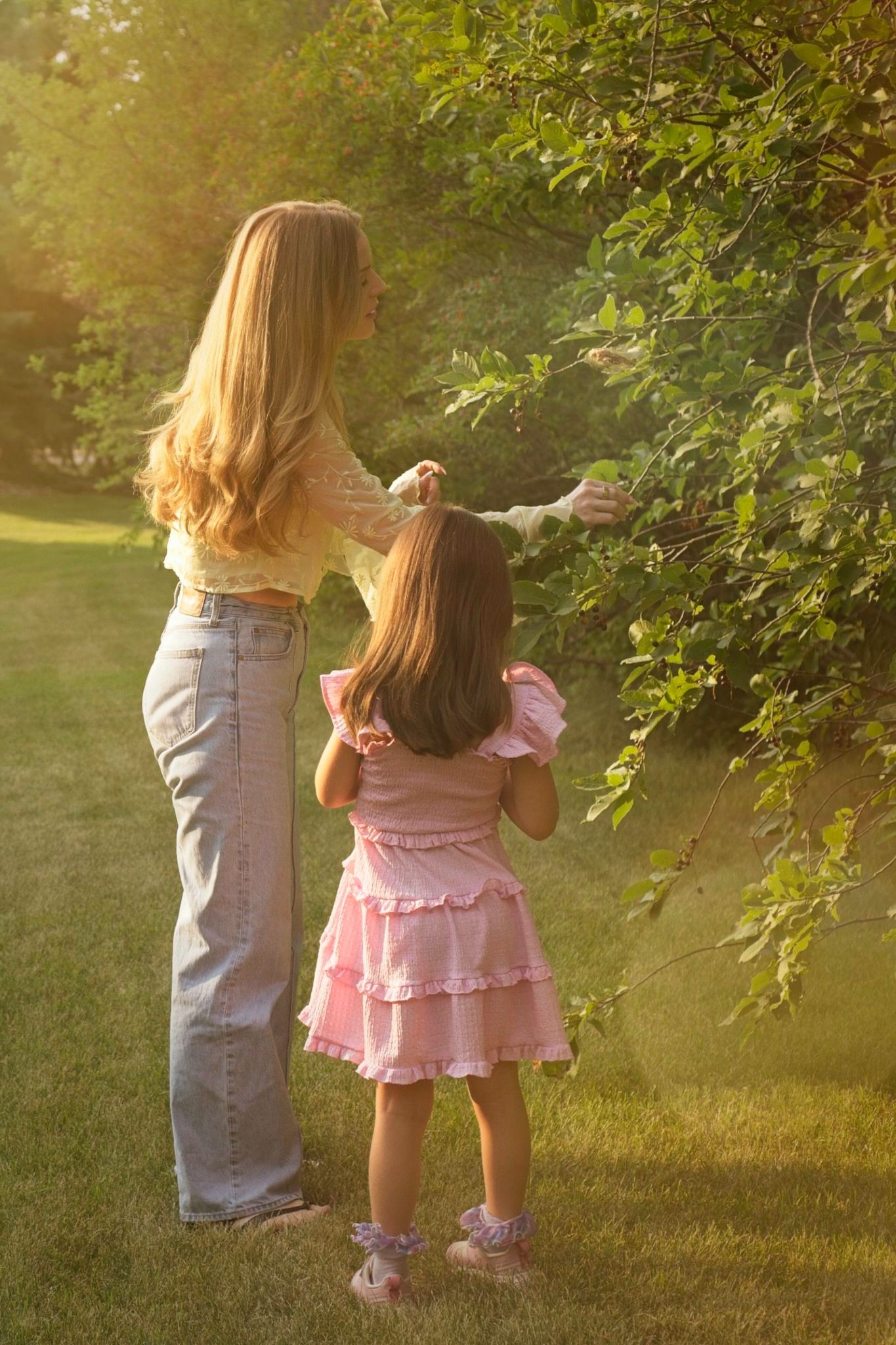 Mom and her child pick berries from a bush during sunset.