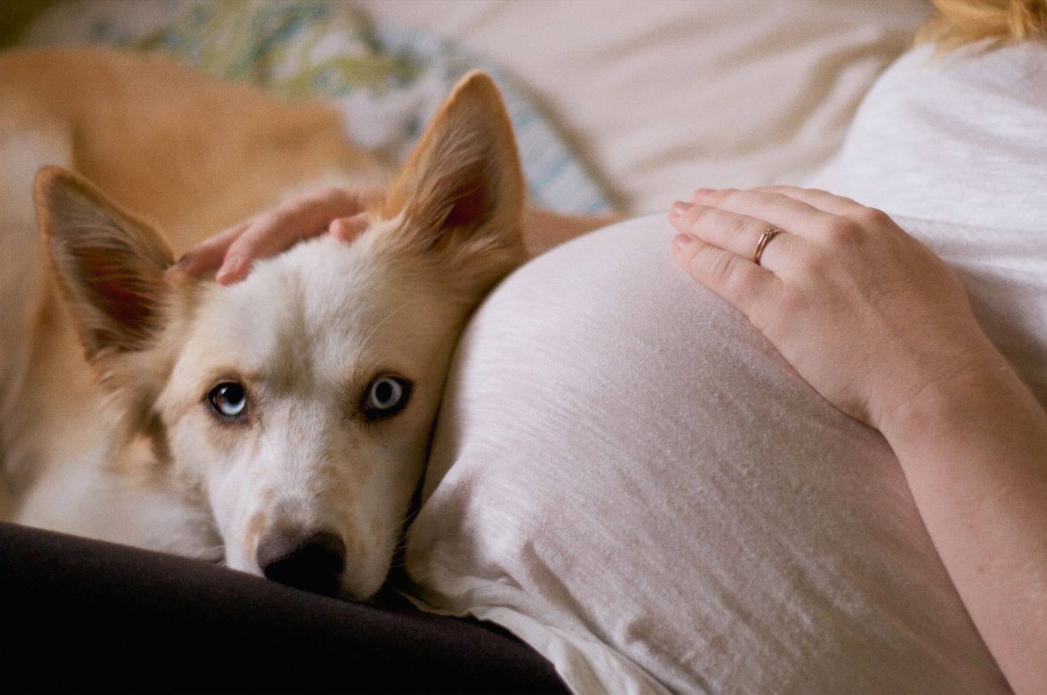 Pregnant woman rests one hand on her belly, and the other hand on the head of her dog who is resting its head in her lap.