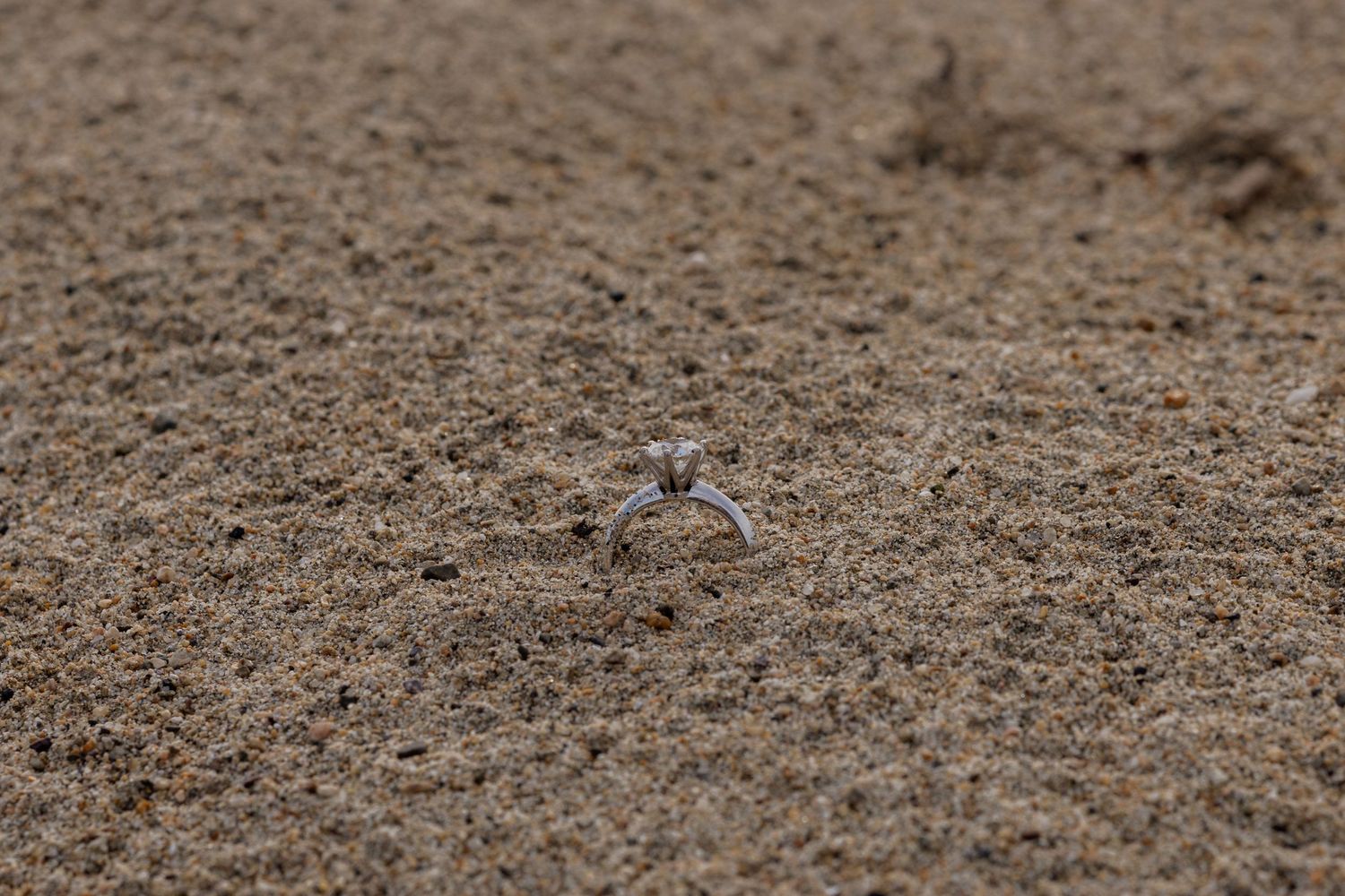 A small ghost crab partially buried in sandy beach, blending naturally with the grainy tan-colored sand.