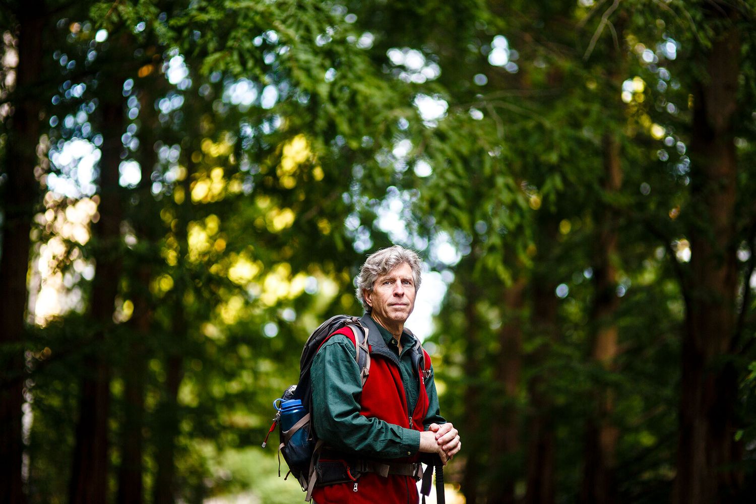 Man hiking through a lush green forest with a backpack.