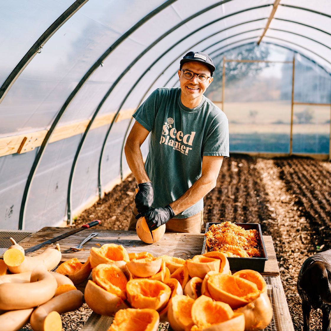 Smiling farmer cutting squash inside a greenhouse tunnel with fresh produce on display.