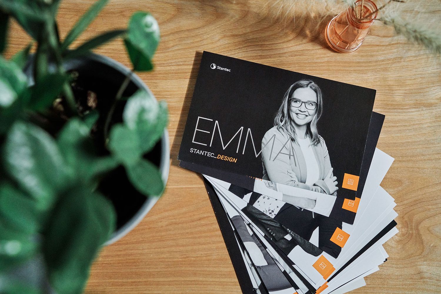 Stack of Emma startup edition brochures on wooden table beside green plant.
