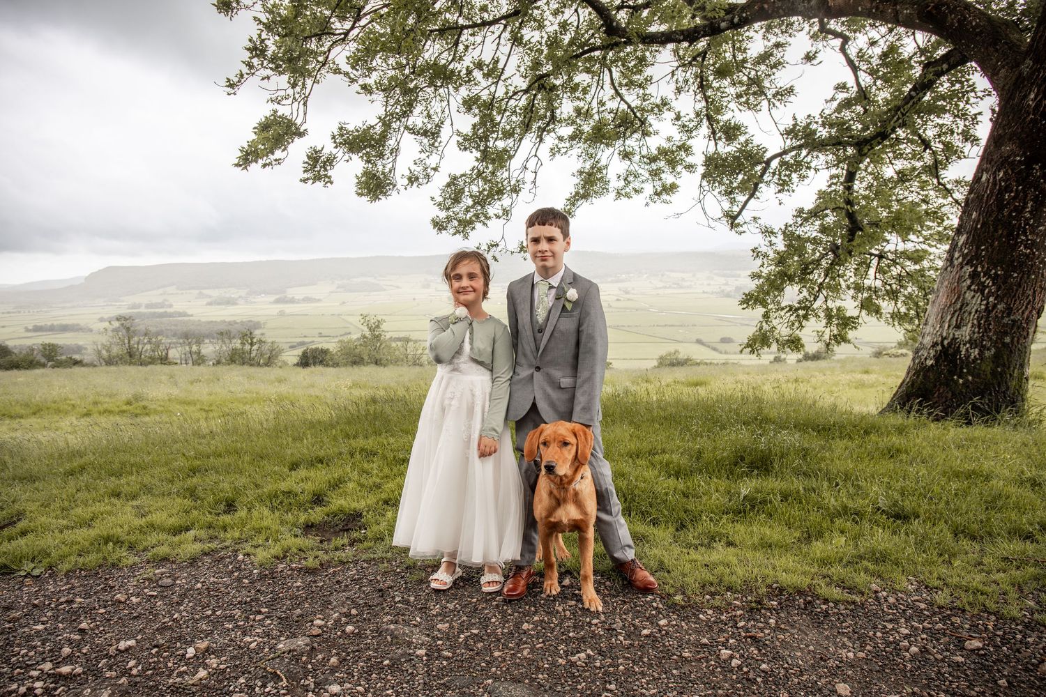 Bride and groom pose with golden retriever under tree, scenic green valley backdrop on wedding day.