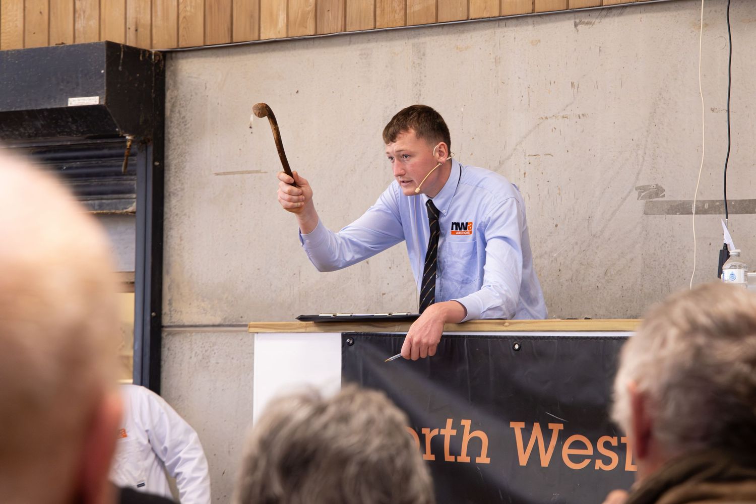 Auctioneer holding a gavel aloft while conducting a livestock sale at North West auction.