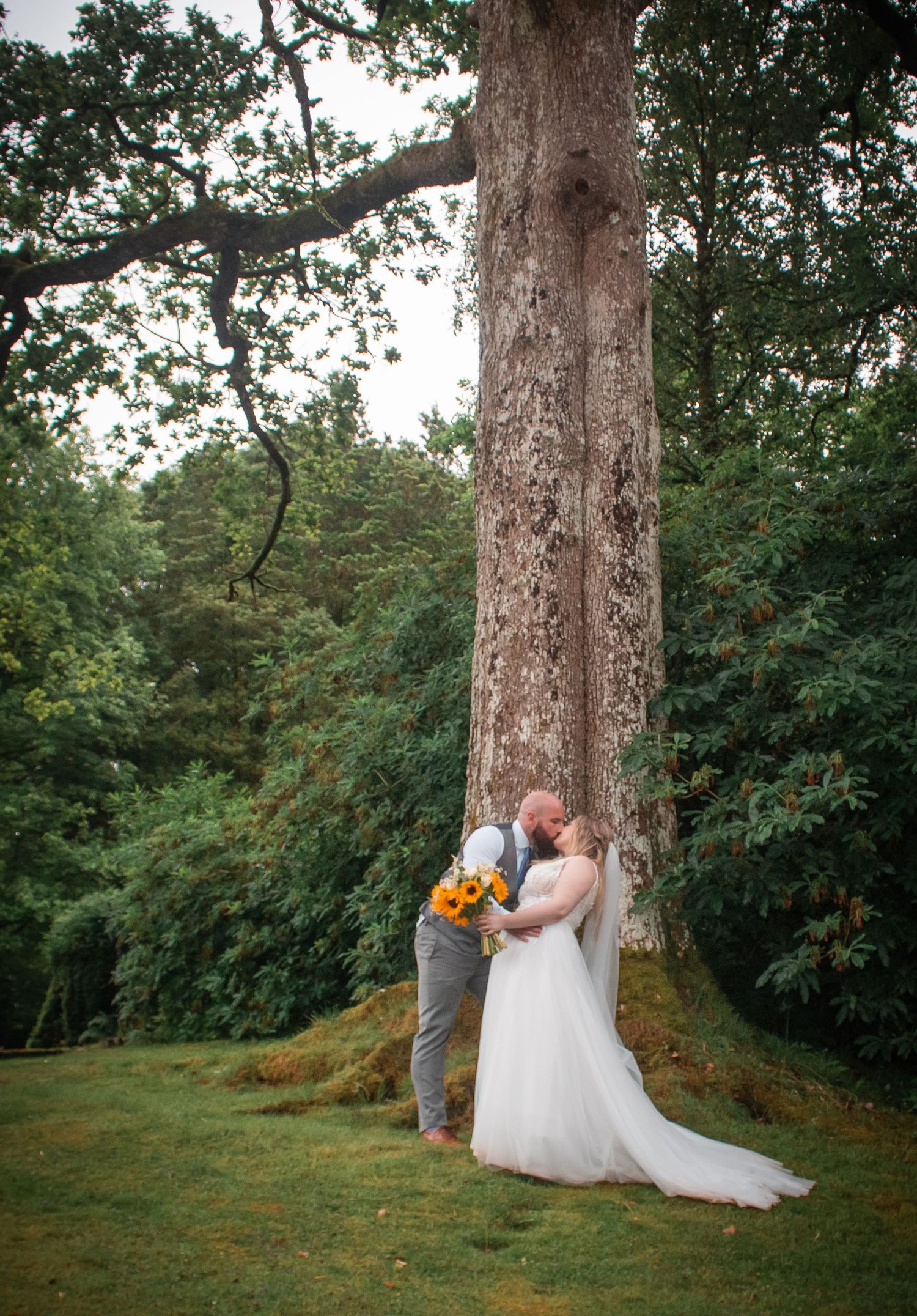 Bride and groom share a kiss beneath a massive tree in a lush green woodland setting.