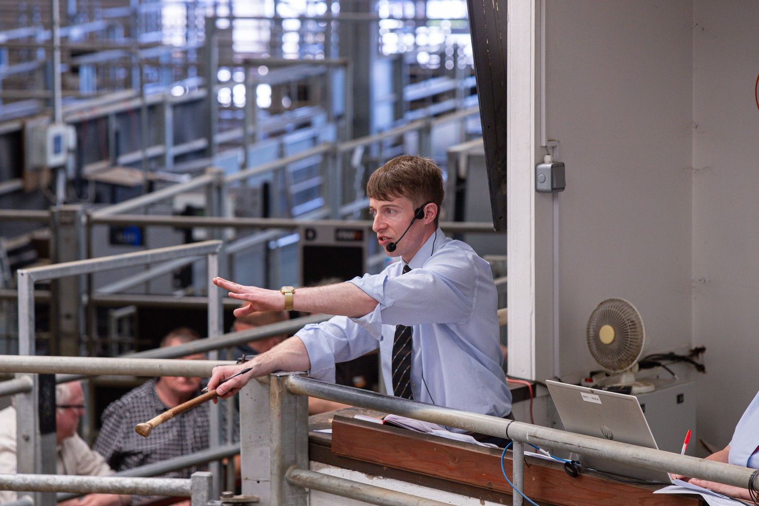 Young male auctioneer pointing from elevated podium during a busy livestock market auction.
