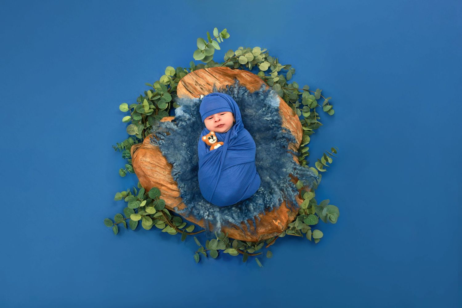 Overhead view of a sleeping newborn wrapped in blue swaddle nestled in a round nest with autumn leaves and greenery.