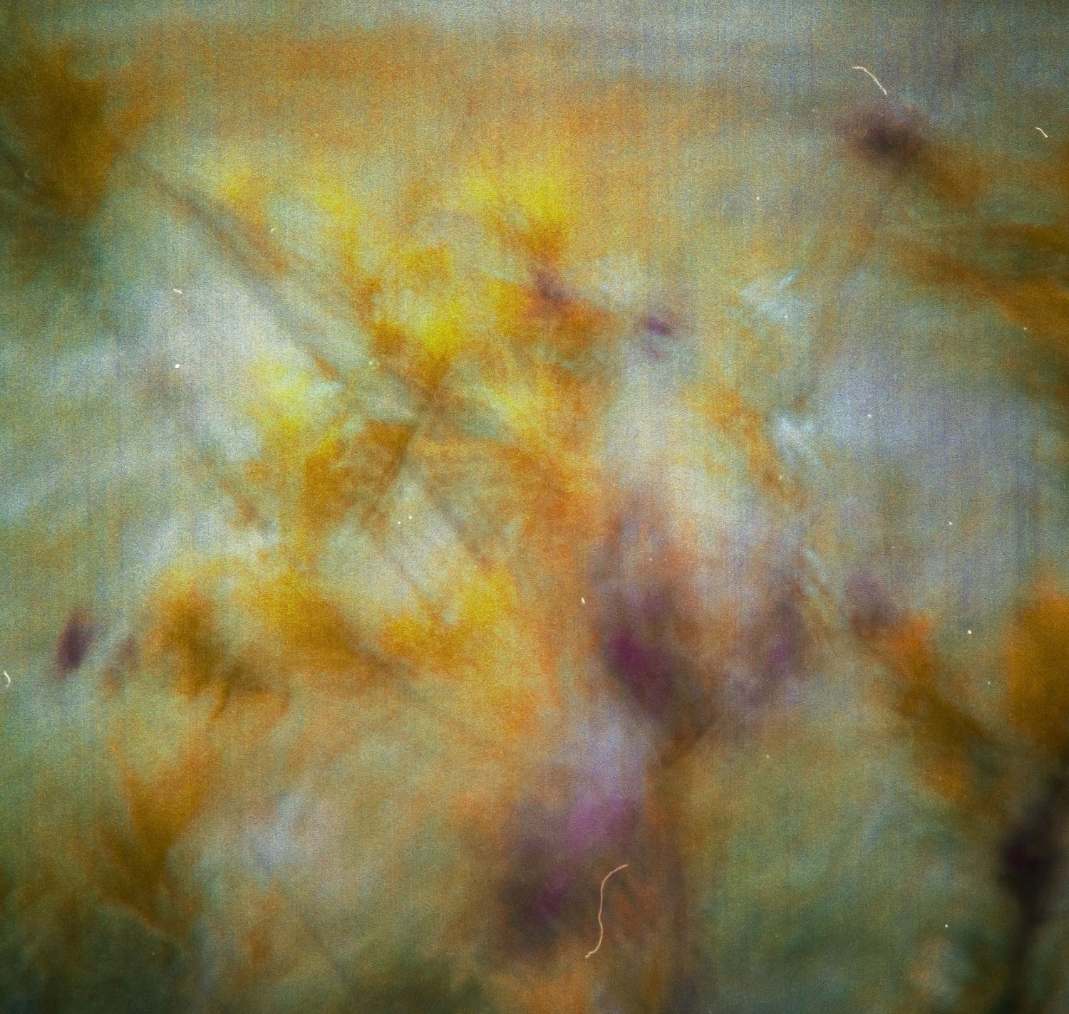 An abstract blurred photograph featuring warm yellow, orange, and purple tones resembling wildflowers.