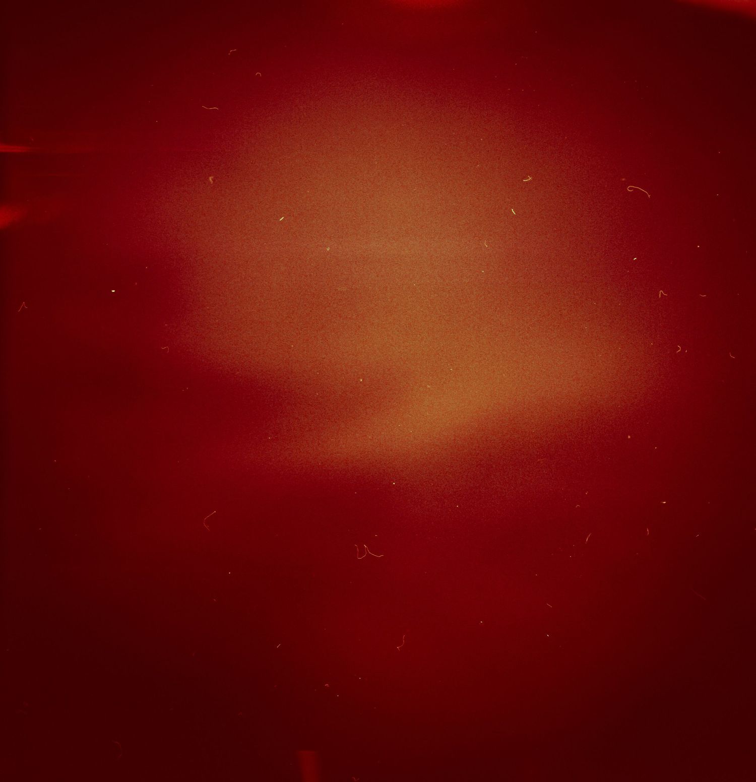A deep red abstract background with a soft glowing light center, resembling an analog film texture.