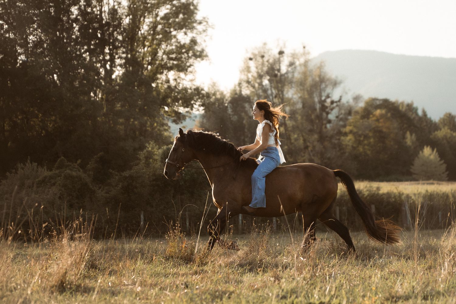 Woman riding a brown horse galloping through a sunlit field with trees and mountains in the background.