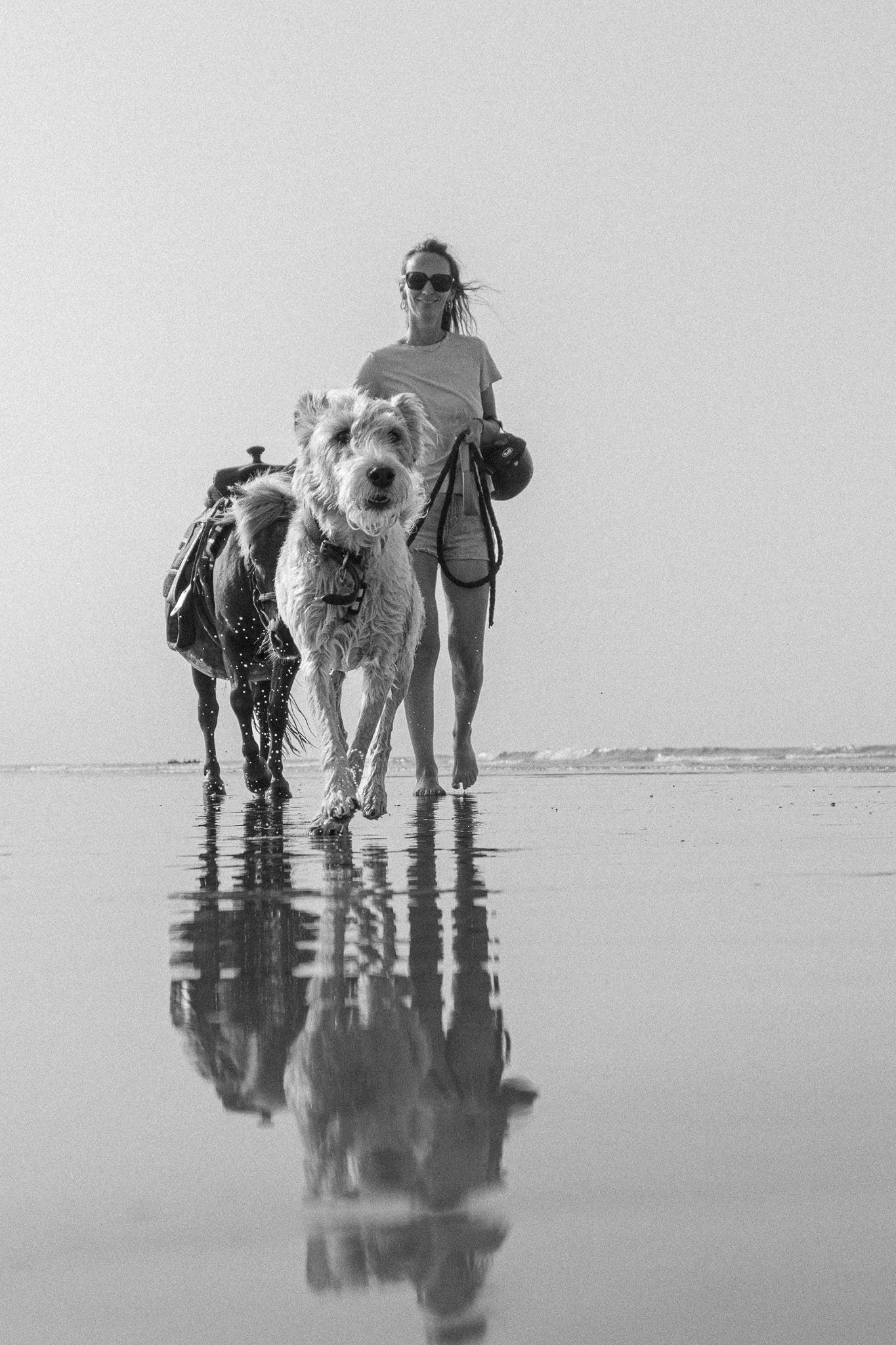 Photographie équine en noir et blanc d'une femme, un chien et un poney marchant sur la plage mouillée