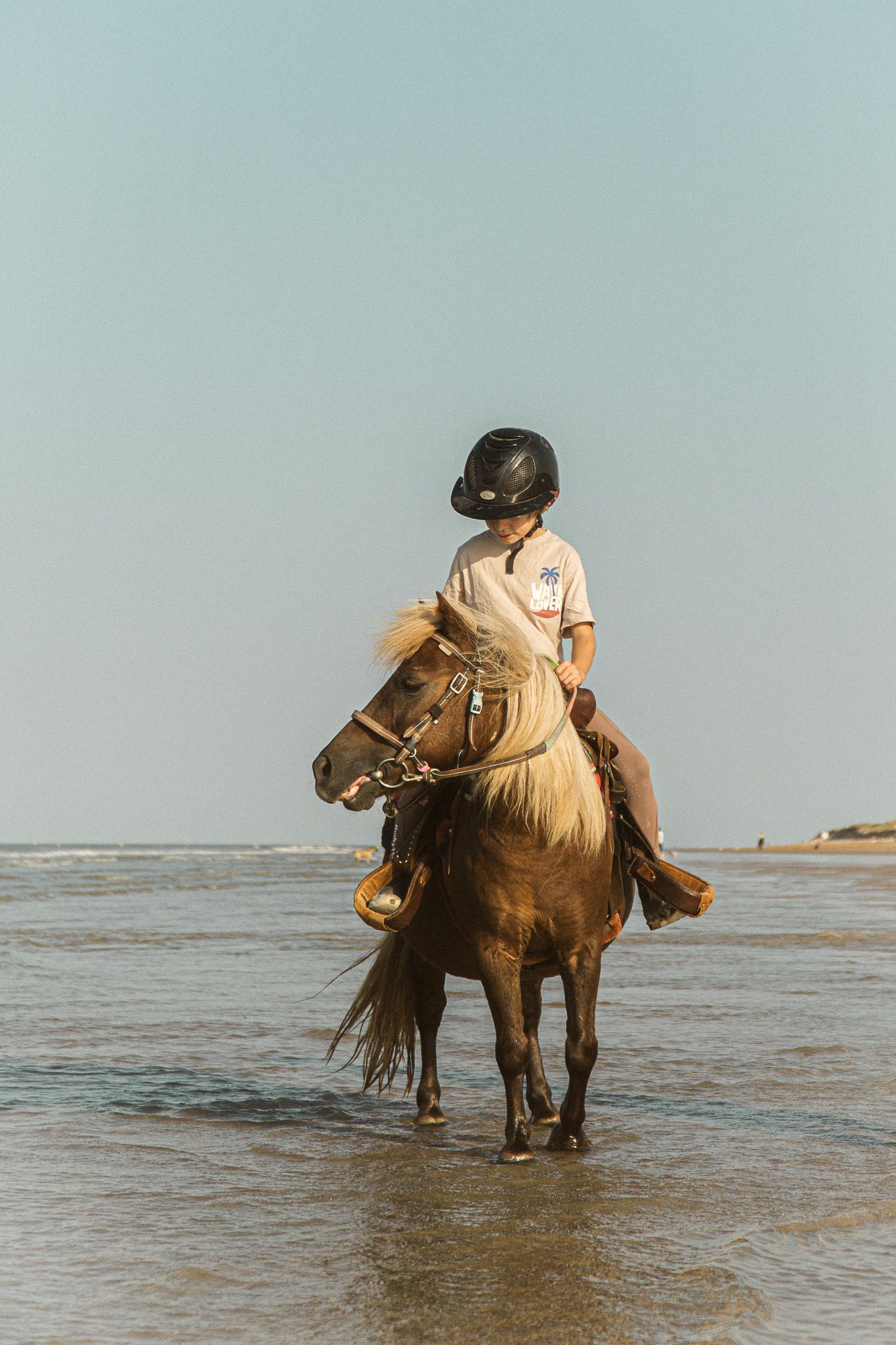 Young rider in helmet on a brown horse walking through shallow ocean water.