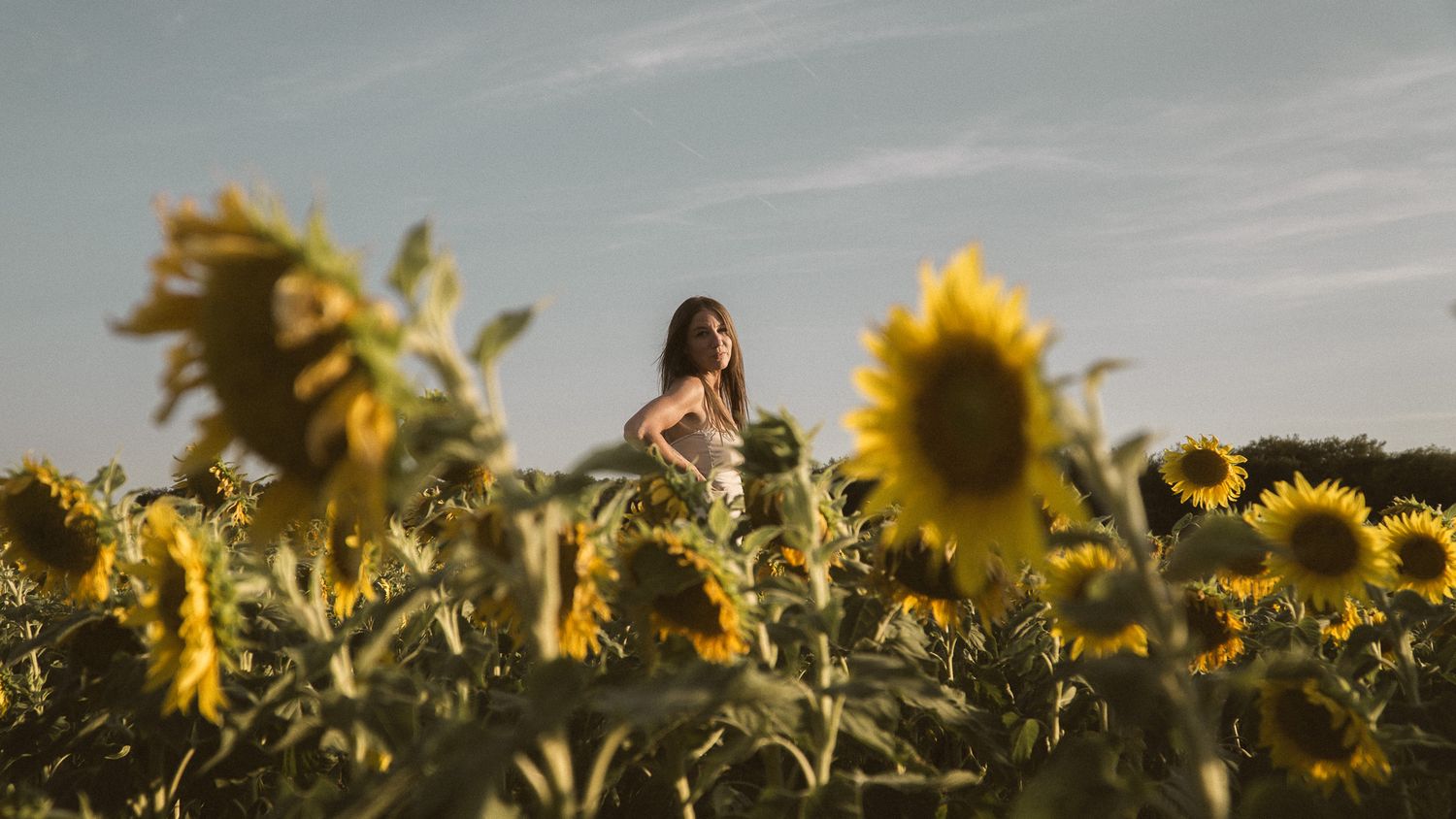 Woman standing in a vast sunflower field during golden hour with a cloudy sky backdrop.
