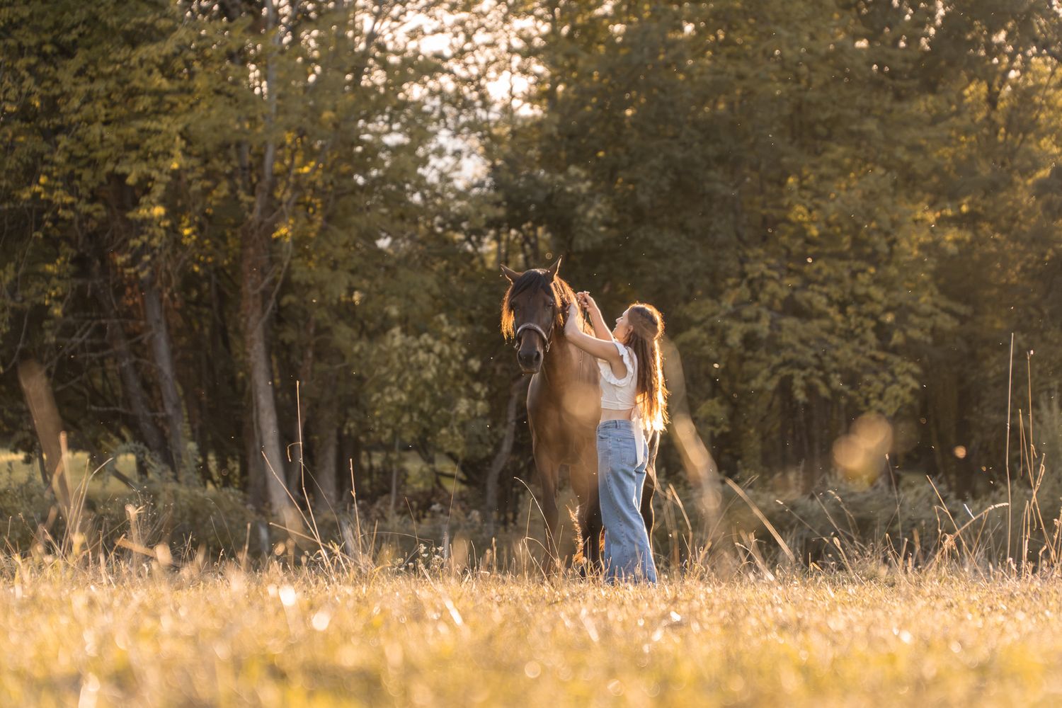 Séance photo équine avec une femme et son cheval en lisière de forêt à la lumière du soir
