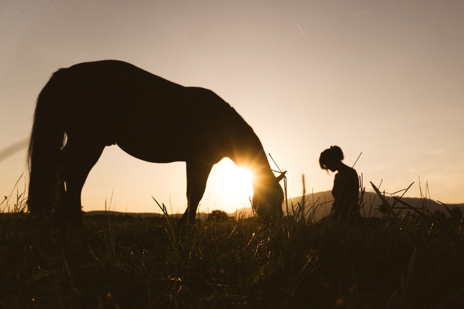 Silhouette of child and horse together in golden sunset light on a field.