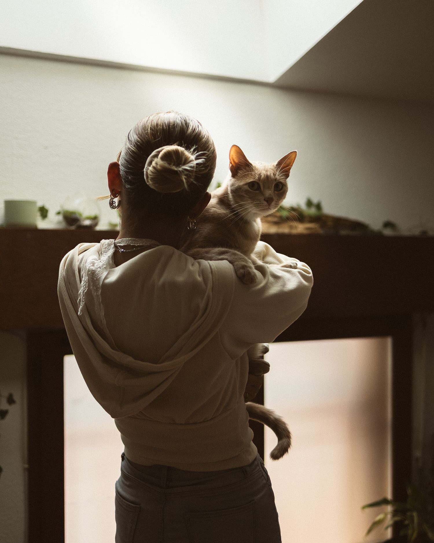 Person holding an orange and white cat up near a skylight window in a warmly lit room.