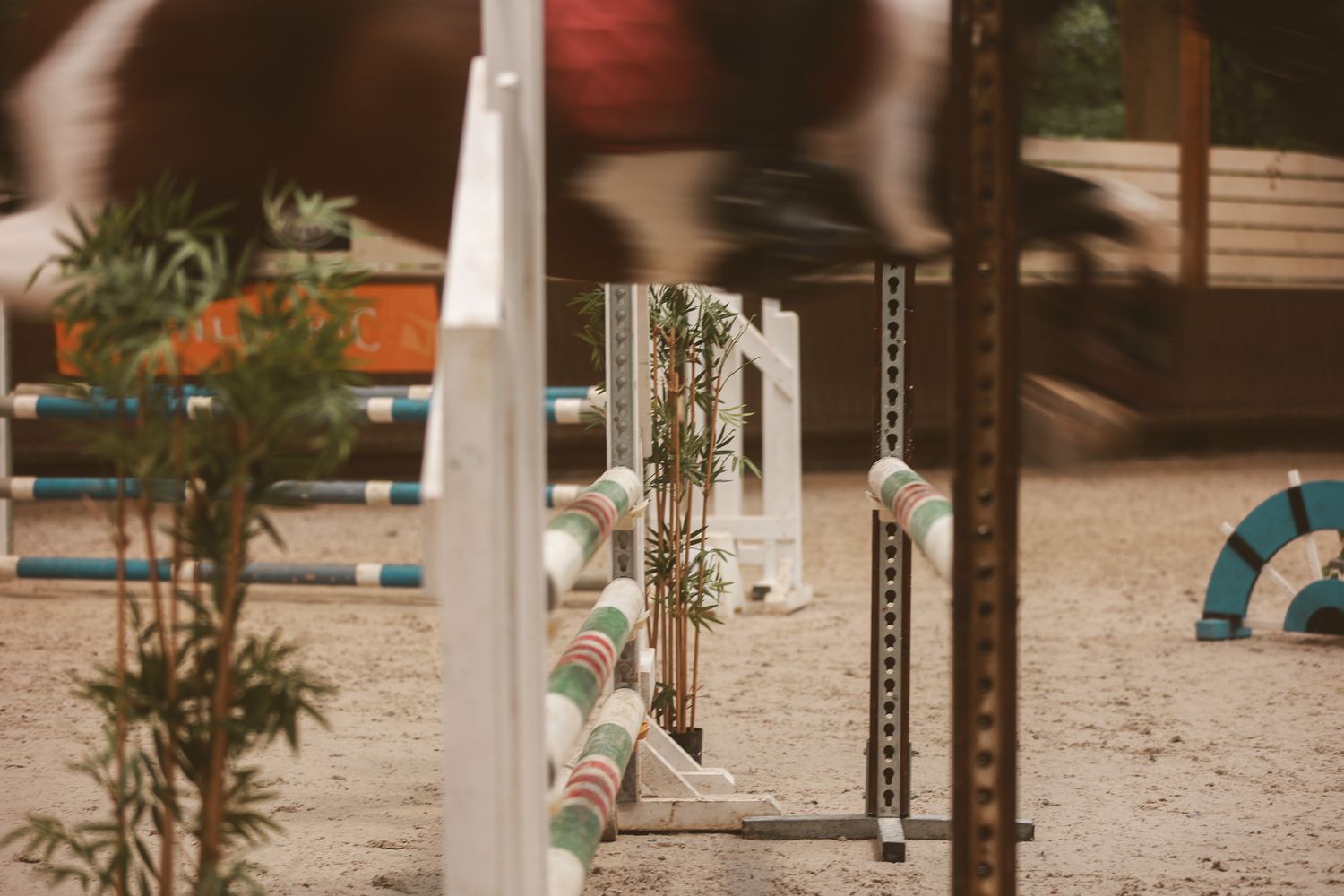 A horse jumping over colorful show jumping poles in an equestrian arena during a competition.