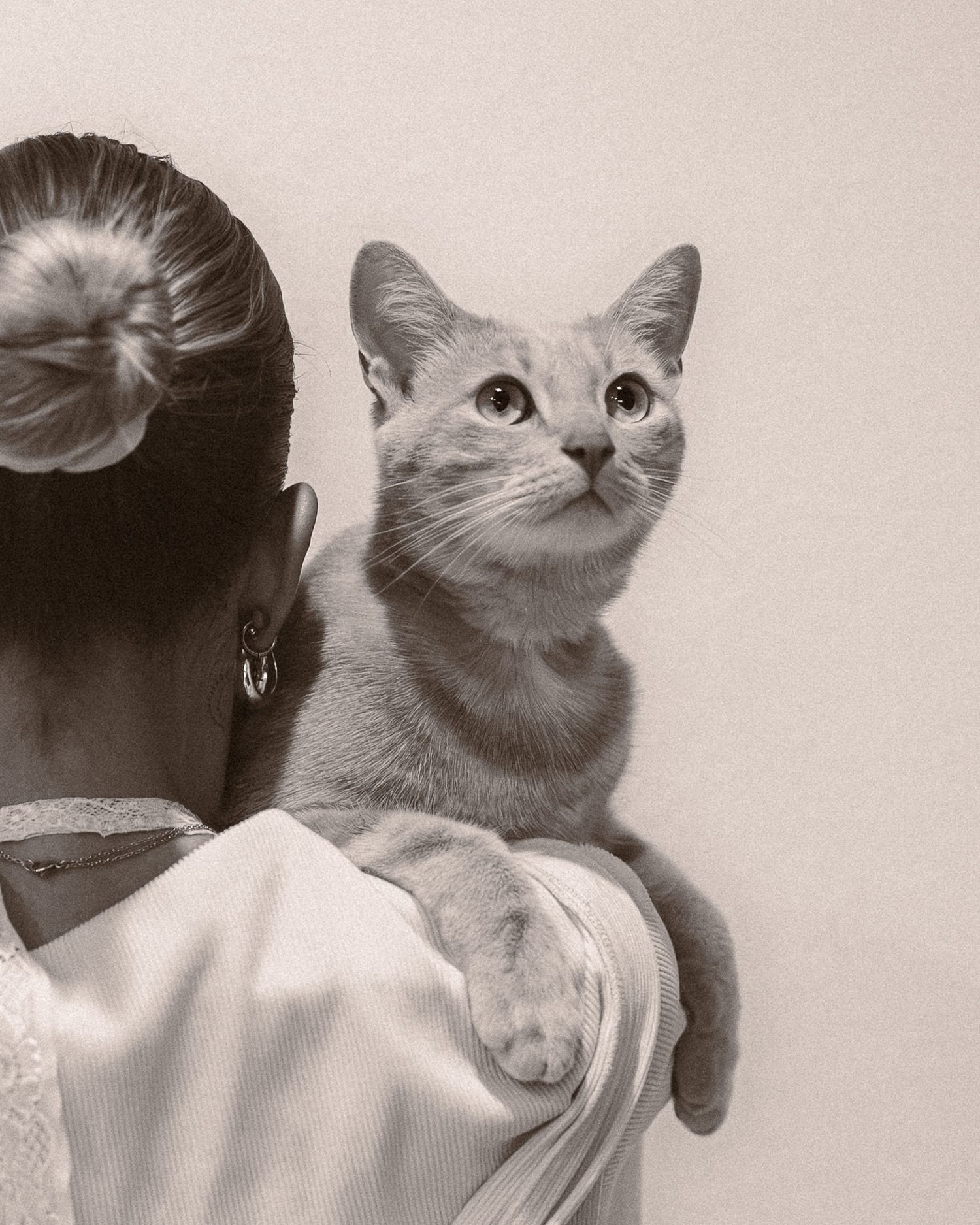 Black and white portrait of a gray cat perched on womans shoulder looking upward.